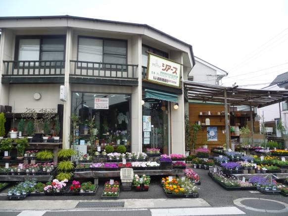 「フローリストシアーズ」　（徳島県徳島市）の花屋店舗写真1